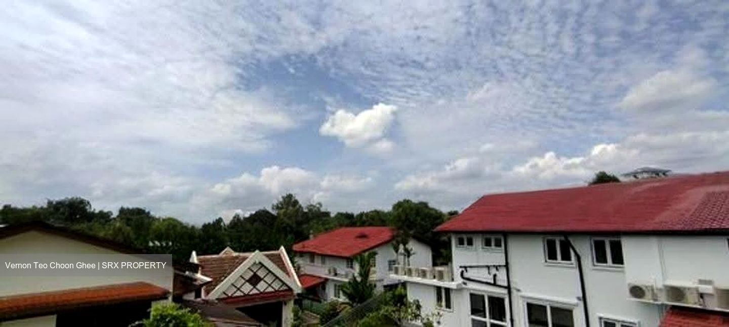 Leedon Park (D10), Detached #617884581